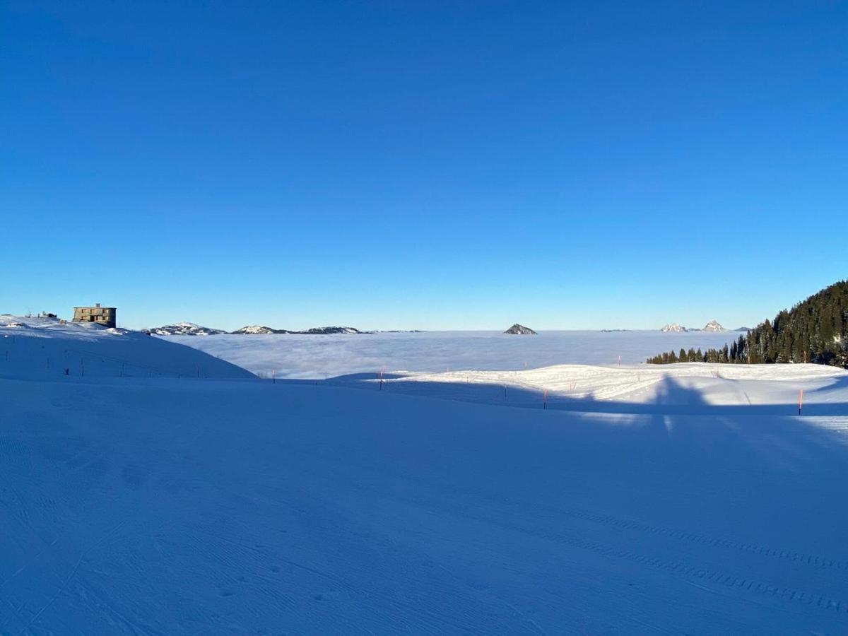 Solohike Mountainview Apartman Seelisberg Kültér fotó