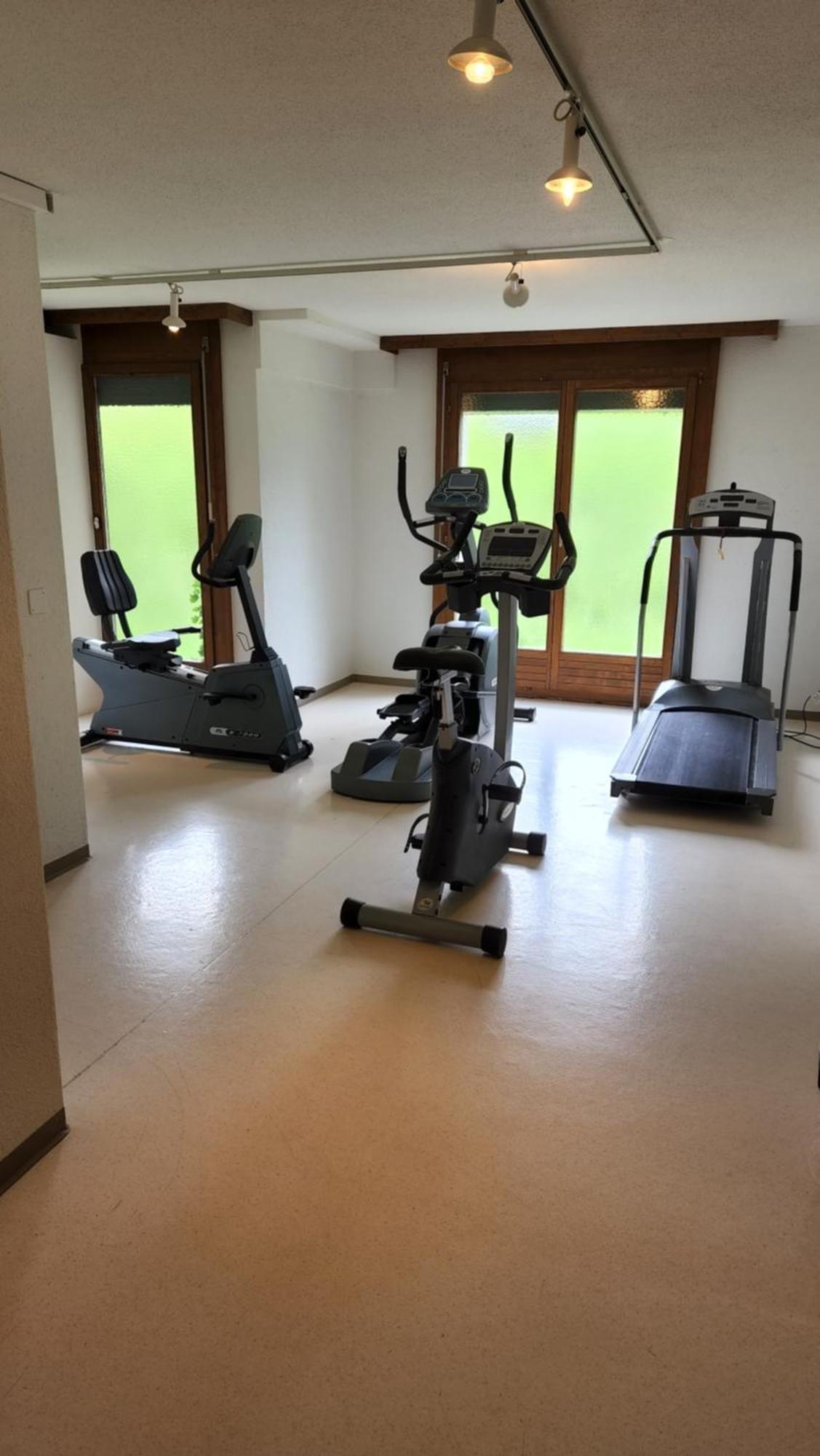 Solohike Mountainview Apartman Seelisberg Kültér fotó